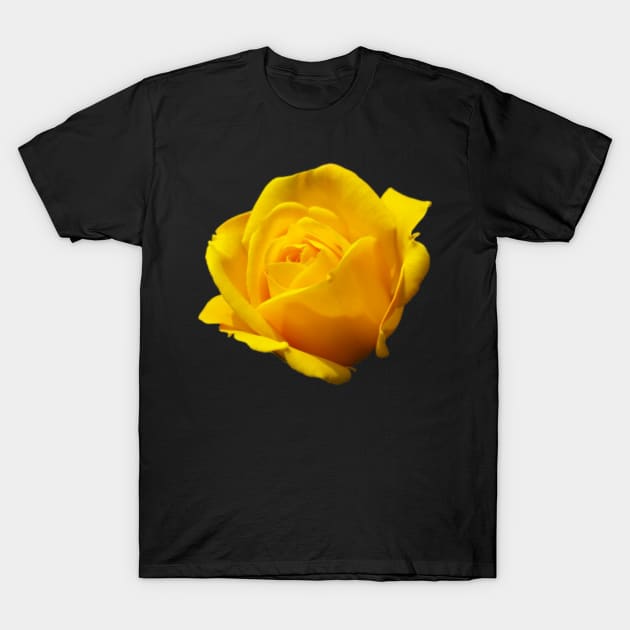 Yellow Rose of Texas Pattern Apparel Decor Fashion T-Shirt by BubbleMench